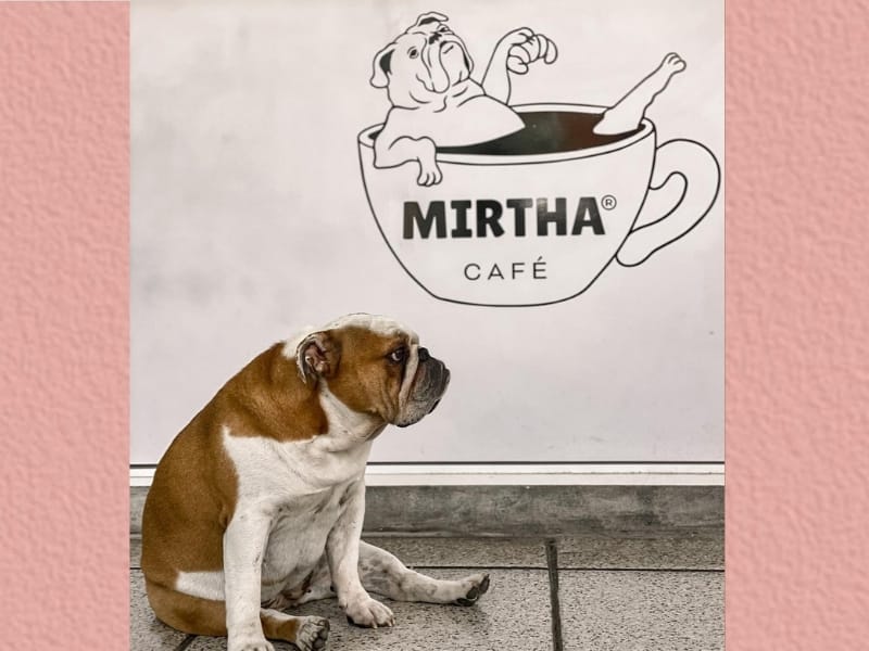 MIRTHA CAFÉ