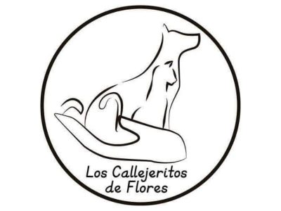 CALLEJERITOS DE FLORES
