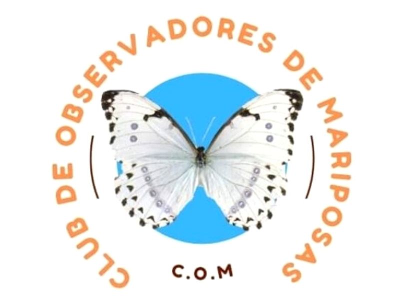 COM - CLUB DE OBSERVADORES DE MARIPOSAS