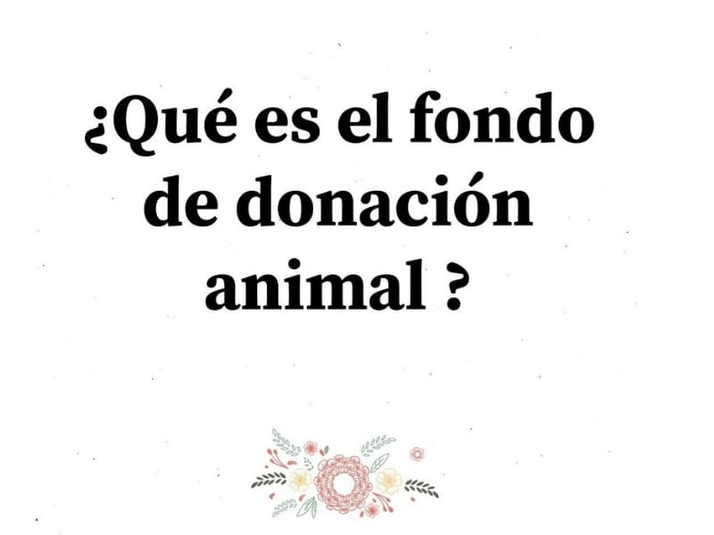FONDO DE DONACIÓN ANIMAL