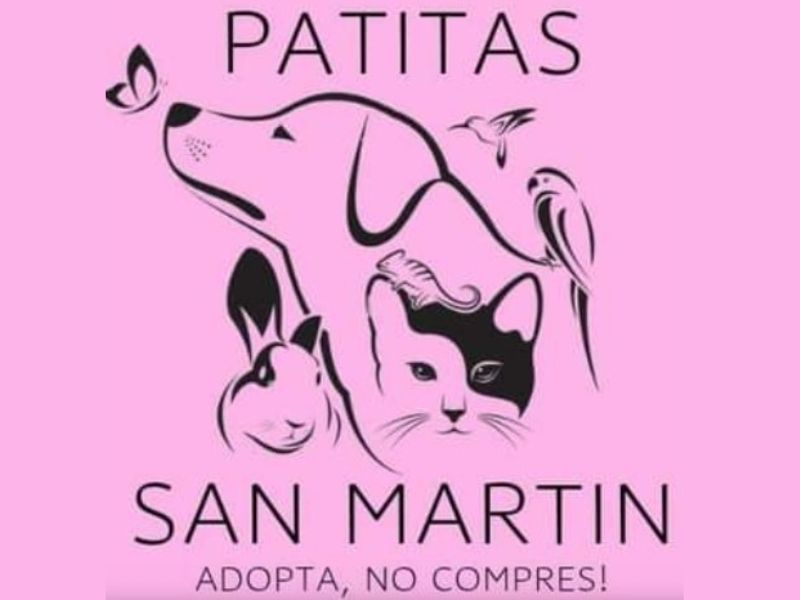 PATITAS DE SAN MARTÍN