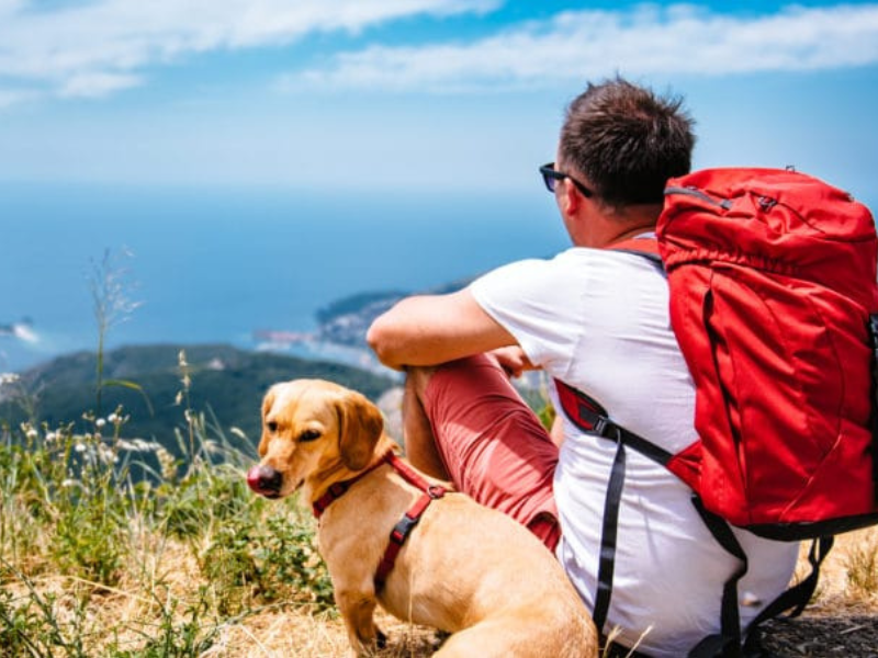 perro y hombre sentados en la cima de una montaña mirando el paisaje