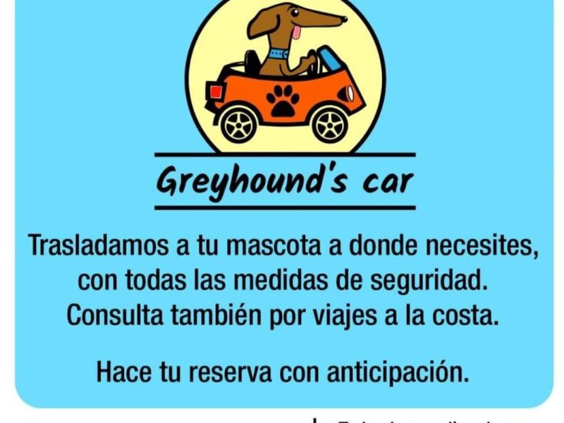 Greyhound's Car