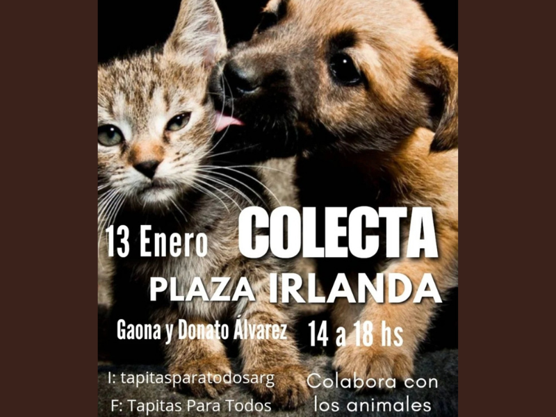13/1 - 14 a 18 hs - COLECTA DE TAPITAS