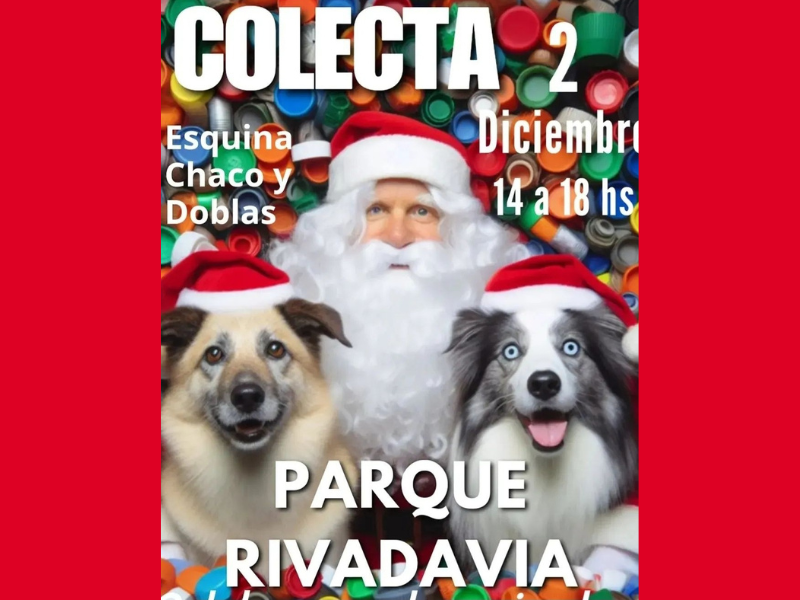 2/12 -14 a 18 hs - COLECTA A BENEFICIO DE Tapitas para Todos